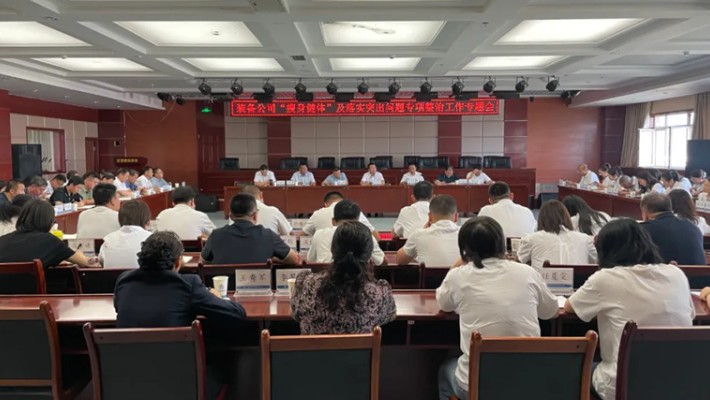 裝備公司召開瘦身健體暨落實(shí)突出問題專項整治工作專題會